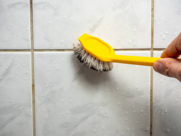 Best Mold Removal Company Near Me  in Chesterfield, MO