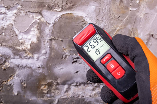 Best Office Mold Removal Services  in Chesterfield, MO