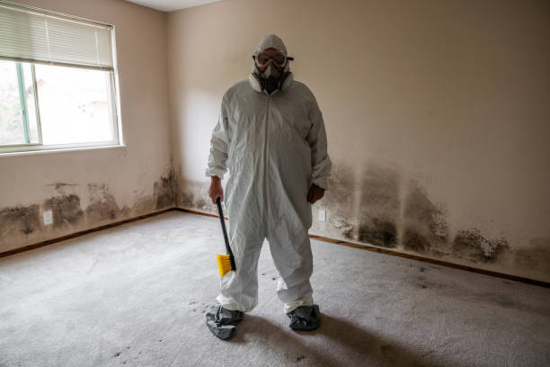 Best Residential Mold Removal  in Chesterfield, MO